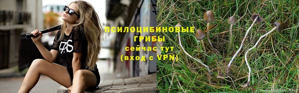 гашиш Алексин