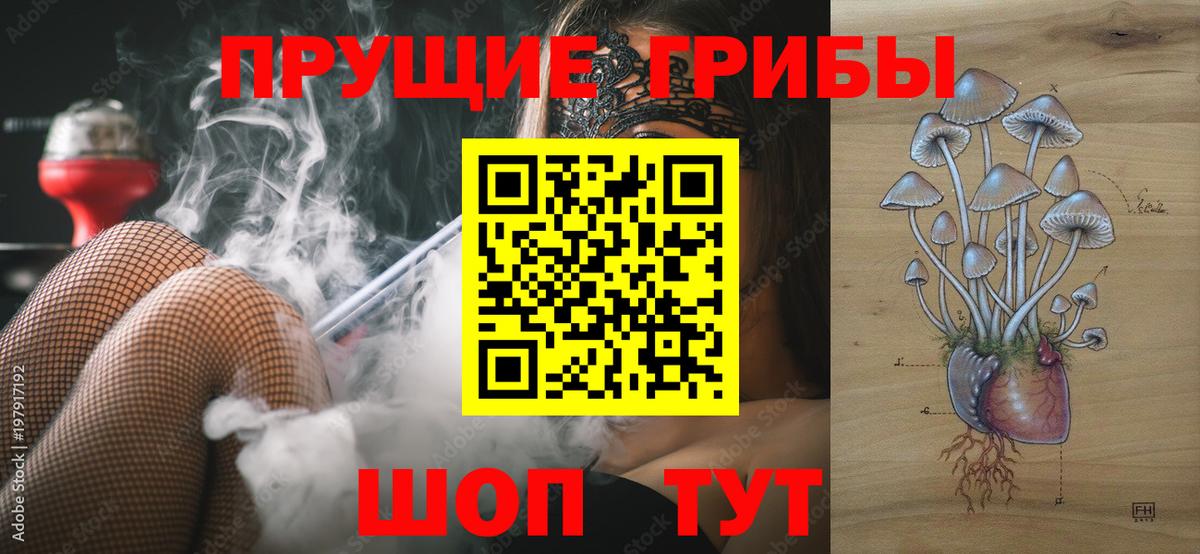 Феодосия  Галлюциногенные грибы ЛСД  Вход с VPN 