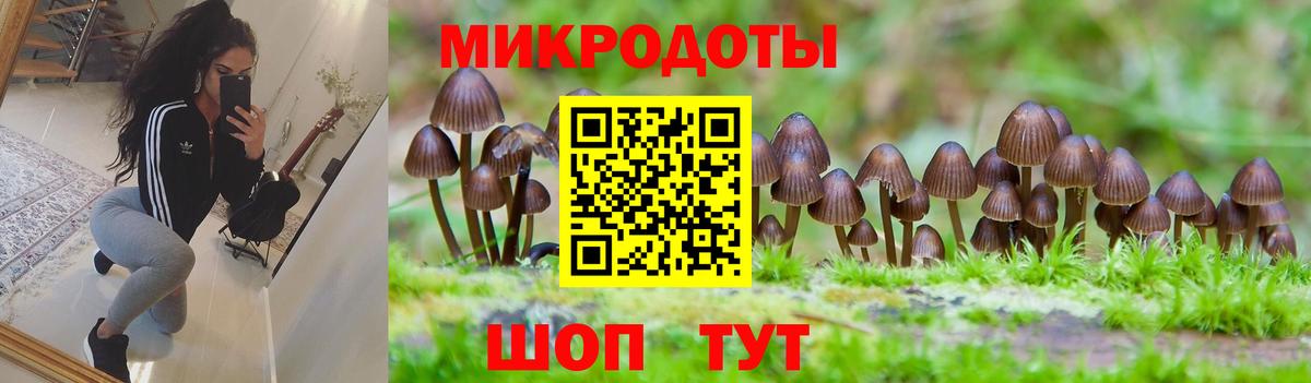Псилоцибиновые грибы мицелий Феодосия